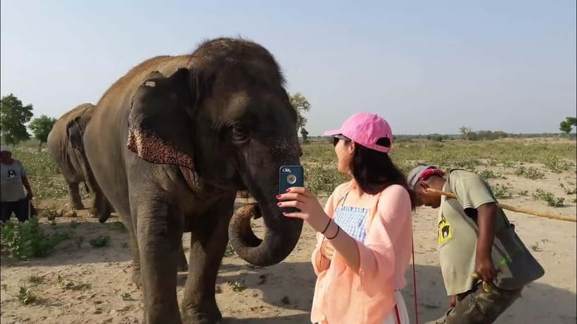 Delhi: Same Day Taj Mahal with Elephant SOS by Express Train - Meeting your guide at Agra Cantt