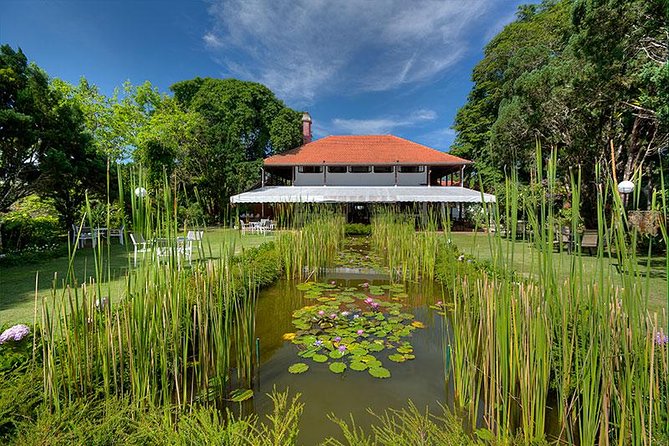 Dinner at Penang Hill Including Train Ride - Riding the Penang Hill funicular