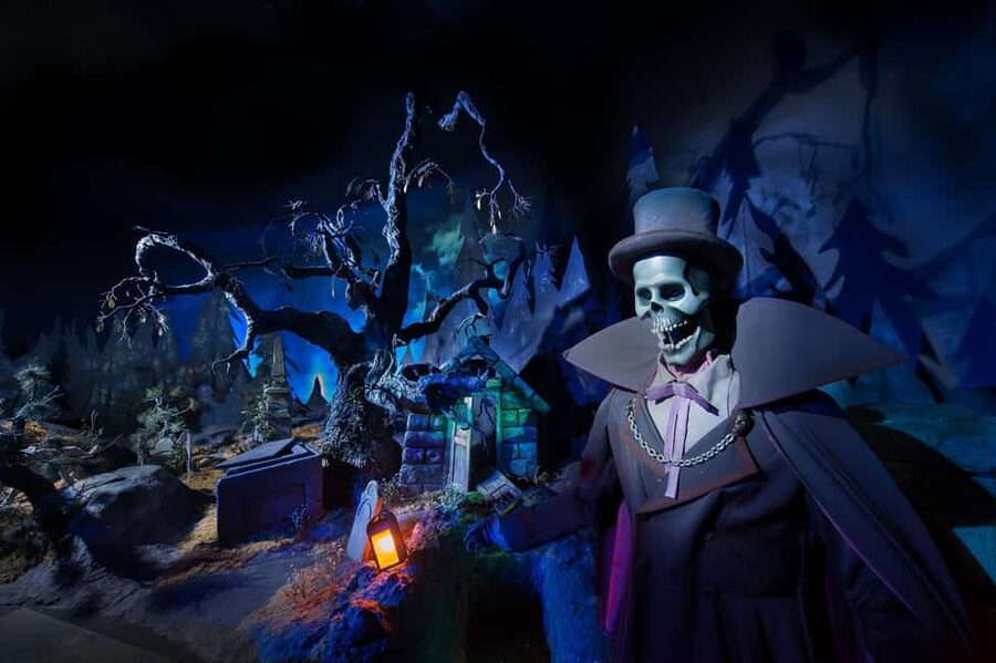Disneyland® Paris Tickets for Train and Parks - Booking and cancellation details
