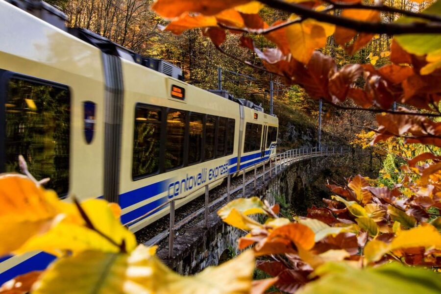 Domodossola: Centovalli Train & Valle Vigezzo Museums Ticket - Plan the day around the timetable