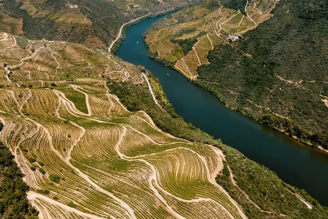 Douro River Cruise from Pinhão with Scenic Train Return - Wine, water, and the relaxed pace onboard
