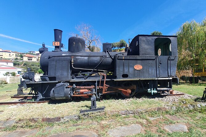 Douro Valley Tour with Train and Vinho Verde - Key points to know before booking