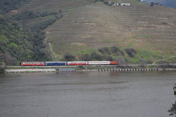 Douro Valley Tour with Train and Vinho Verde - Vilarinho de São Romão and the farm tasting