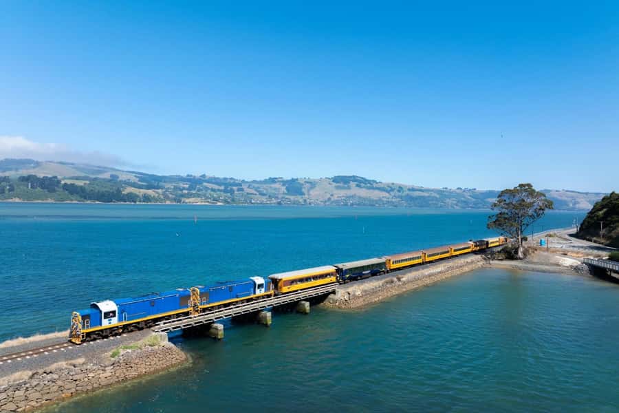 Dunedin: Scenic Railway Tour of Otago's Coastline - Why The Seasider works as a Dunedin outing