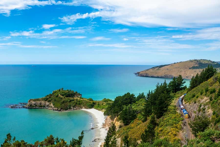 Dunedin: Scenic Railway Tour of Otago's Coastline - Pūrākaunui Beach and the open coast