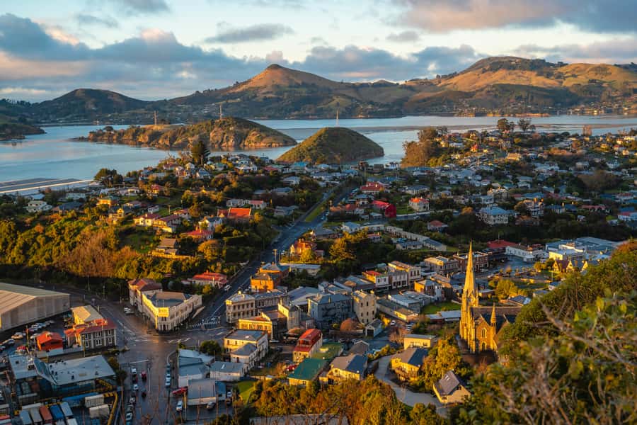 Dunedin: Scenic Railway Tour of Otago's Coastline - What the $77 ticket is really buying