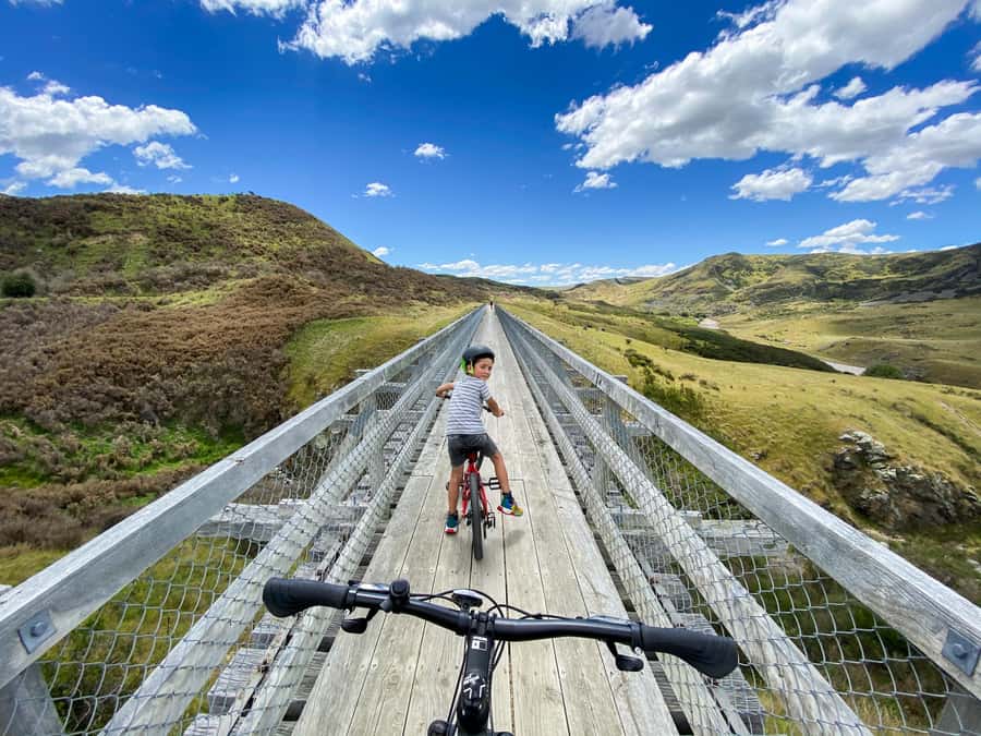 Dunedin: Scenic Railway Tour Through the Taieri Gorge - Why the onboard storytelling matters