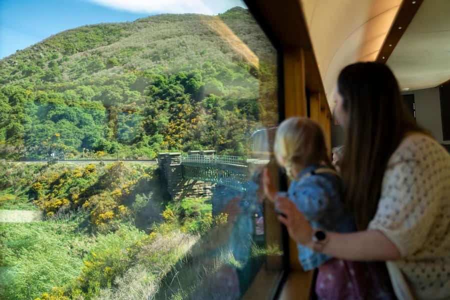 Dunedin: Scenic Railway Tour Through the Taieri Gorge - What the $95 price really gives you