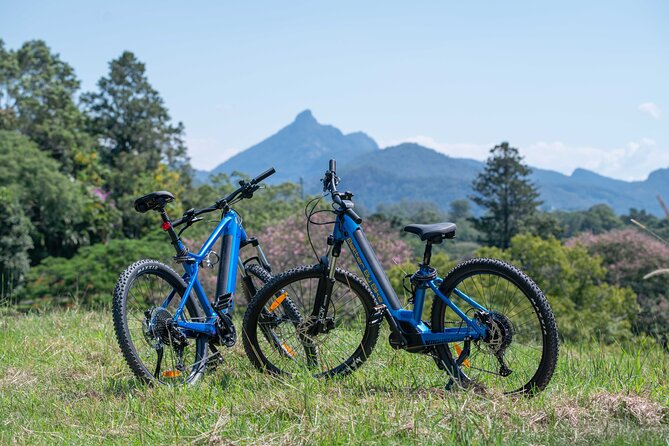 E-Bike Hire Northern Rivers Rail Trail, with Return Transport - Why the 24km Murwillumbah route works so well