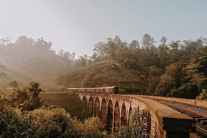 Ella Day Tour with Scenic Train Ride From Hikkaduwa - Who Should Book This Tour?