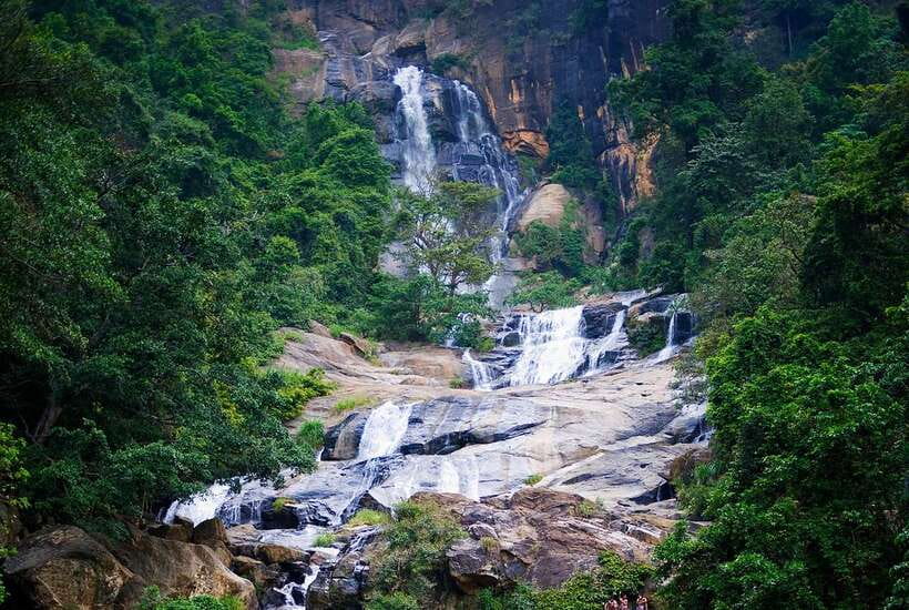 Ella Day Tour with Scenic Train Ride & Tea Plantation Visit - Tea plantation and fresh Ceylon tea