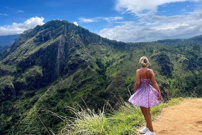 Ella Private Day Tour with Train Ride and Visit to Nine Arch - Rawana Falls: an easy roadside nature stop