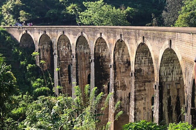 Ella Private Day Tour with Train Ride and Visit to Nine Arch - The guide and group-size question