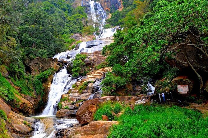 Ella Private Day Trip with Train Ride & Tea Factory-All Inclusive - What the private format is really worth