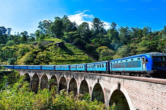 Ella Private Day Trip with Train Ride & Tea Factory-All Inclusive - Little Adam’s Peak gives you the best short walk