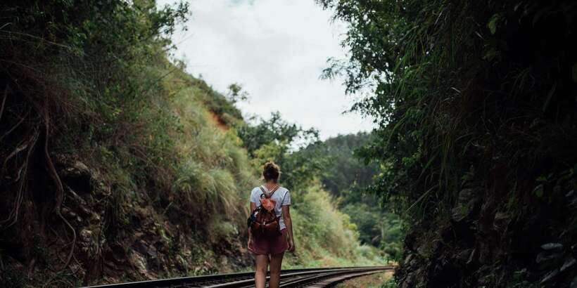 Ella: Tea Factory, Train, and Nine Arch Day Tour with Pickup - The essential points at a glance