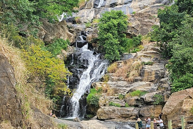 Ella Train Trip & Udawalawa Private Day Tour Bentota/Kosgoda - A 4 a.m. start from Bentota and nearby towns