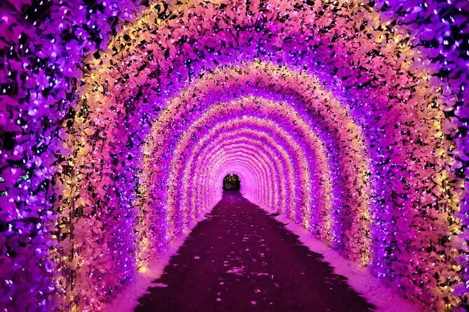 Eobi Ice Valley, Nami Island, Morning Calm and Rail Bike Seoul - The Garden of Morning Calm after dark