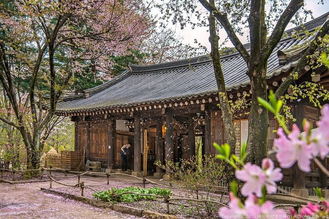 Eobi+Nami+Hanbok Tour with Rail Bike or Strawberry Option - What this Seoul day trip really includes