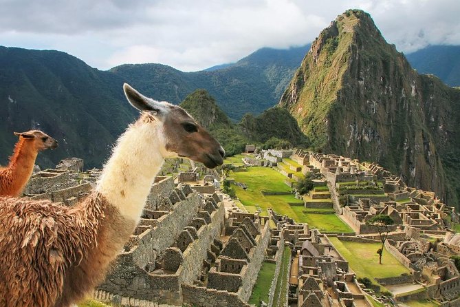 Excursion to MachuPicchu with Train Vistadome Full Day - Lunch and free time in Aguas Calientes