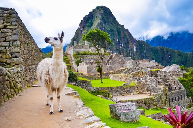 Excursion to MachuPicchu with Train Vistadome Full Day - What $403.75 actually buys you