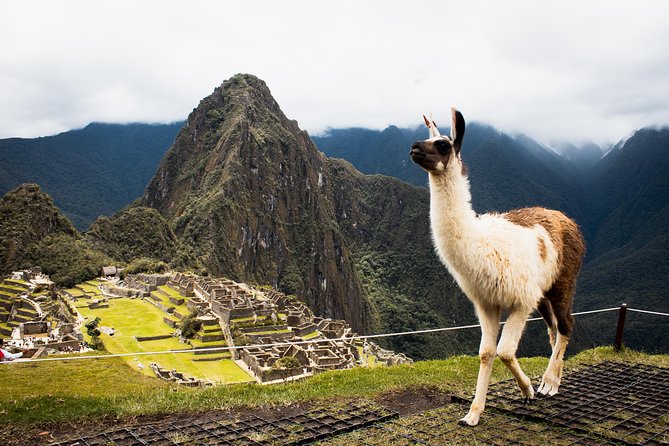 Excursion to MachuPicchu with Train Vistadome Full Day - The return trip and possible delays