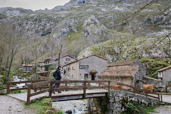 Excursion to Picos de Europa : Bulnes, funicular and cheese Cabrales - Key points to know before booking