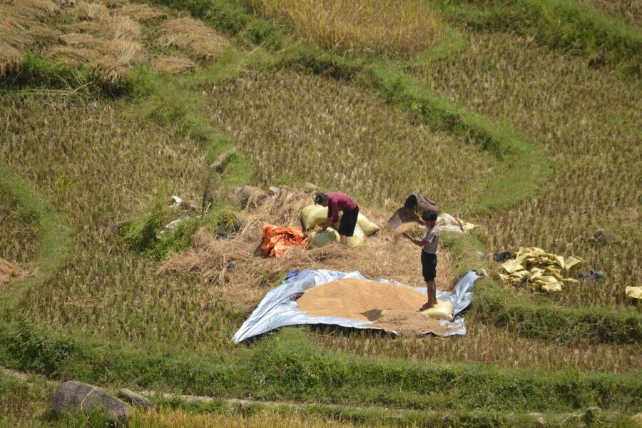 Explore Sa Pa with Overnight Train & Sleeper Bus & Trekking - The appeal of arriving in Sa Pa by night train
