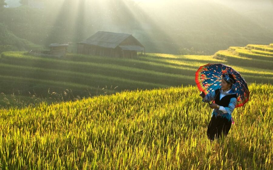 Explore Sa Pa with Overnight Train & Sleeper Bus & Trekking - The afternoon choice: Lao Chai and Ta Van or Cat Cat
