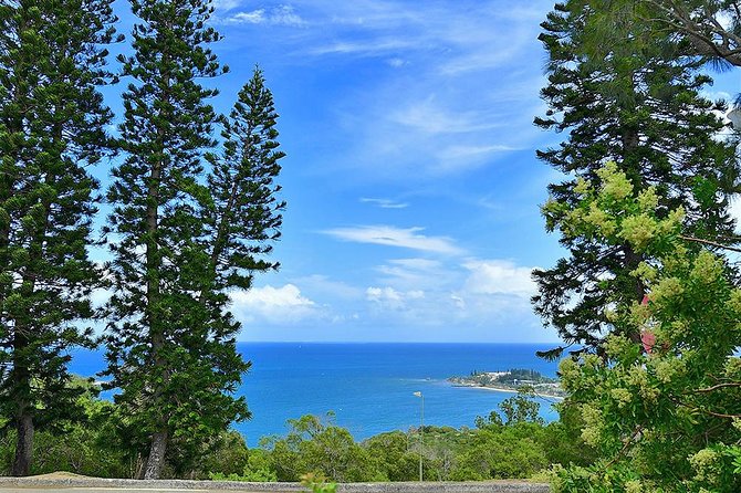 FAMOUS Local Green Train Noumea (01h30) - The commentary is the real value