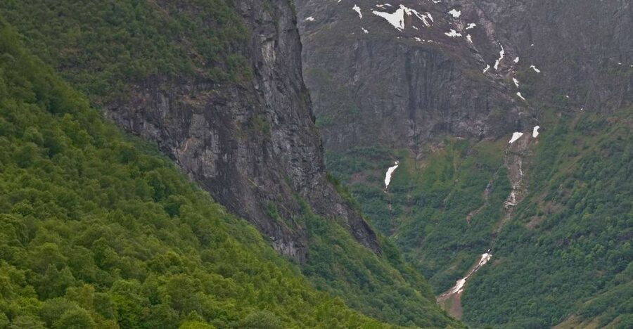 Fjords: Private Trip with Train and Cruise Ride - Why this Oslo to fjord trip is worth considering