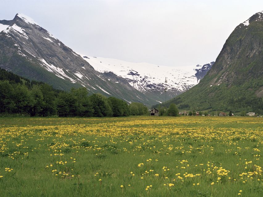 Fjords: Private Trip with Train and Cruise Ride - Leaving Oslo for Hardangervidda and Geilo