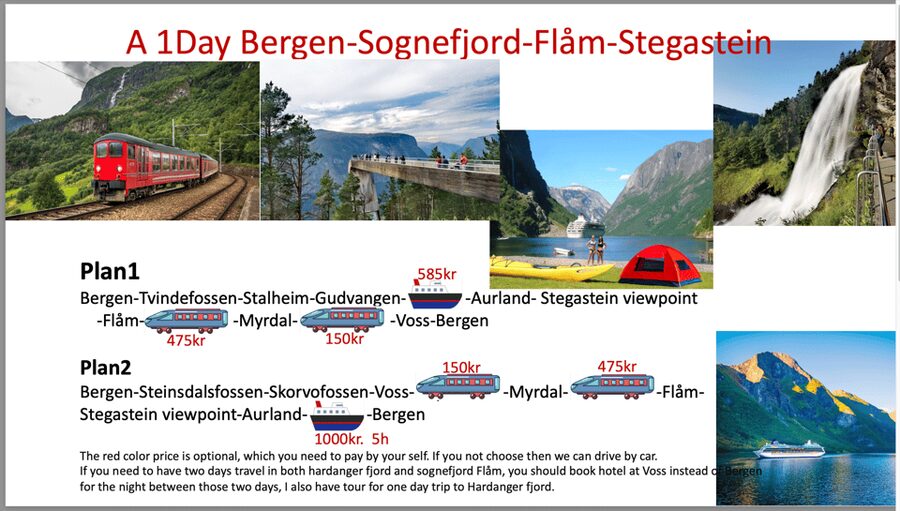 Flåm Flexible Tour with Stegastein, cruise and train include - Extra options: Aurland, Borgund and Viking Valley