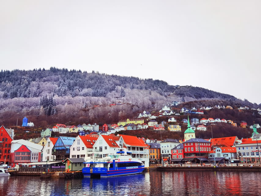 Flåm Flexible Tour with Stegastein, cruise and train include - From Bergen to Voss and Tvindefossen