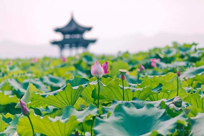 Flexible Hangzhou Private Tour from Shanghai by Bullet Train - The morning train from Shanghai Hongqiao