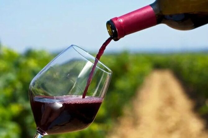 Franschhoek Wine Tram Hop On Hop Off Tour - Purple and Orange routes: a broad choice of estates