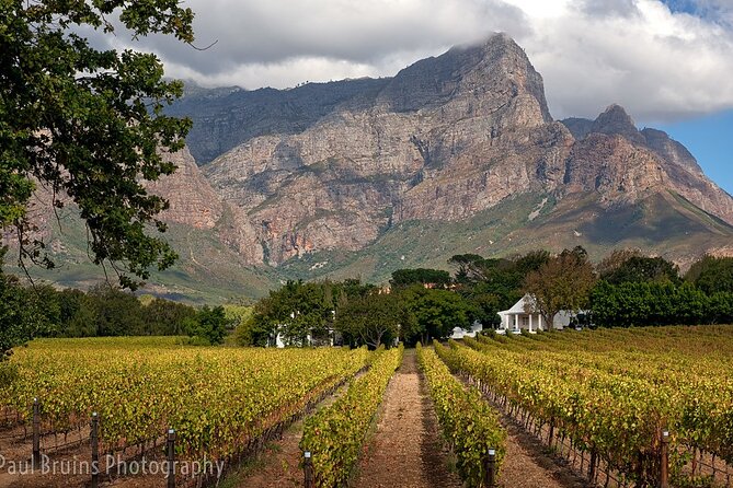 Franschhoek Wine Tram Hop-On Hop-Off Tour from Cape Town. - Reaching the Franschhoek Wine Tram terminal