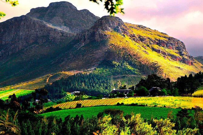Franschhoek Wine Tram Hop-On Hop-Off Tour from Cape Town. - What the positive feedback gets right