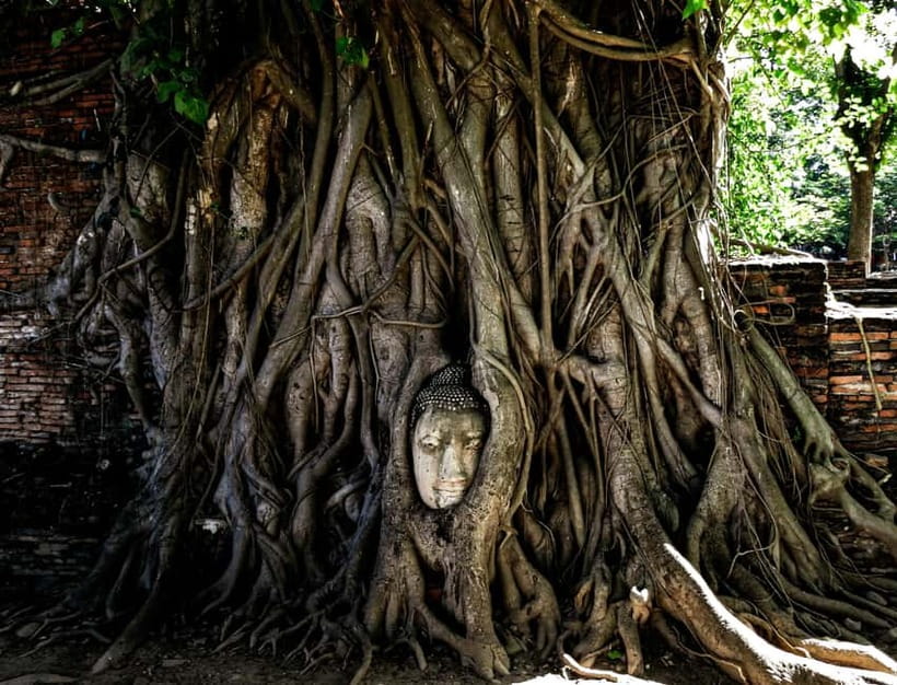 From Bangkok: Iconic Ayutthaya Tour By Rail, Road, and River - Wat Yai Chai Mongkhon and its Buddha rows