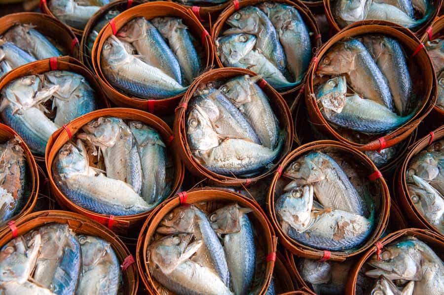 From Bangkok: Maeklong Railway and Floating Market Food Tour - Who should book this experience?