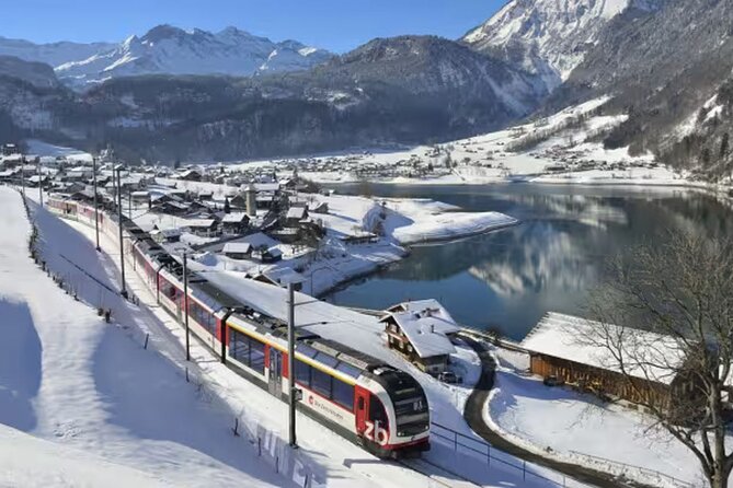 From Basel: Premium Panoramic train, Lucerne & Interlaken Tour - Key points at a glance