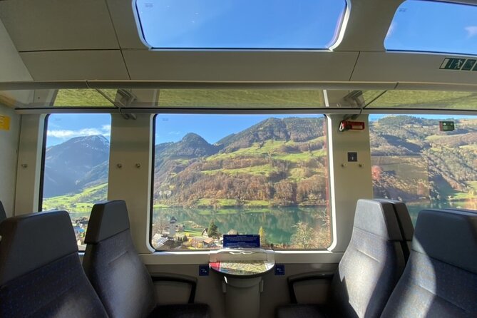 From Basel: Premium Panoramic train, Lucerne & Interlaken Tour - Who will enjoy this Swiss rail day most