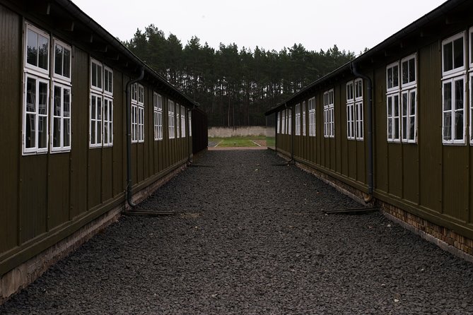 From Berlin to Sachsenhausen Camp: Private Tour by Car or Train - Who should book this Sachsenhausen tour?