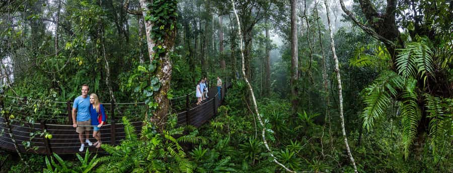 From Cairns: Self-Guided Kuranda Trip with Train and Skyrail - Is $127 good value?