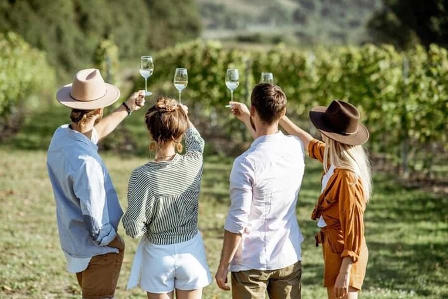 From Cape Town: Full-Day Cape Winelands Taste Tour + Tram - A full day across three Cape Winelands regions