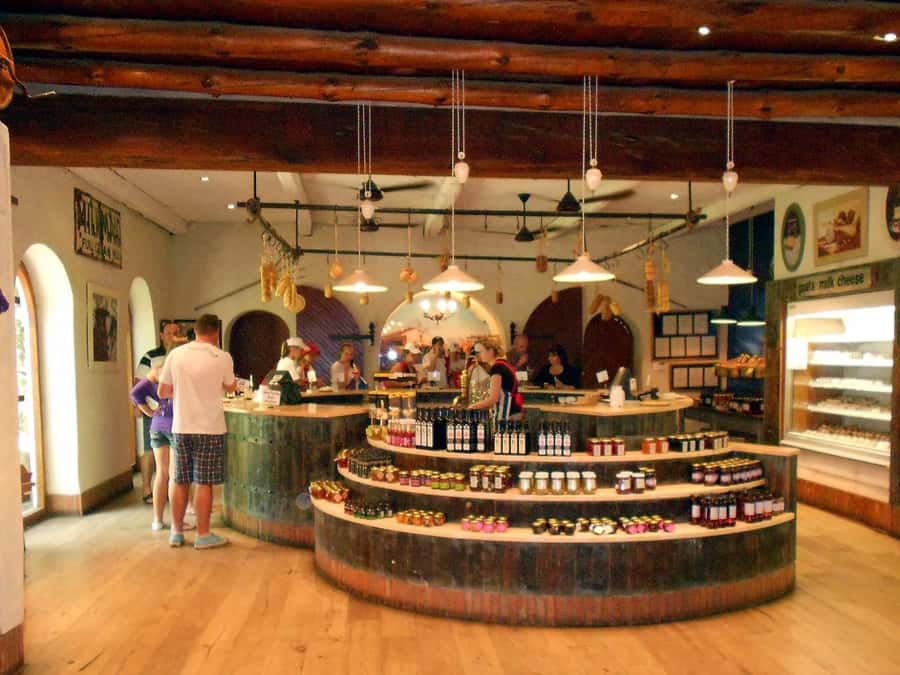 From Cape Town: Full-Day Cape Winelands Taste Tour + Tram - What the $143 price covers