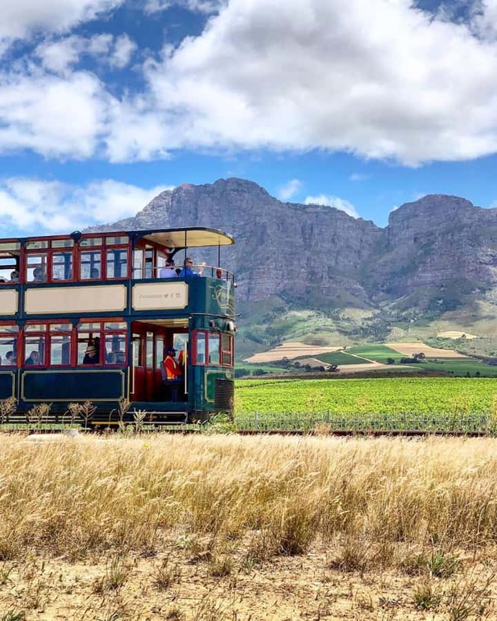 From Cape Town: Full-Day Cape Winelands Taste Tour + Tram - How this tour compares with a self-guided wine day