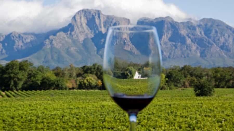 From Cape Town: Full-Day Cape Winelands Taste Tour + Tram - Who should book this Cape Winelands day?