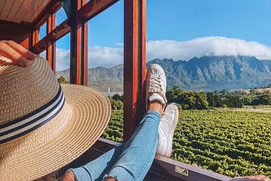 From Cape Town: Full-Day Cape Winelands Taste Tour + Tram - Fairview wine and cheese: a useful first tasting