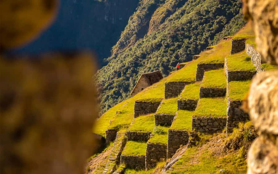 From Cusco: One-Day Round Trip to Machu Picchu by Train - Returning by Train and Road